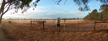 Northside panorama